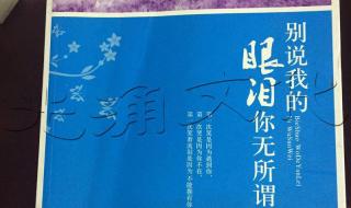 别说我的眼泪你无所谓