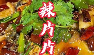 水煮片片鱼的正宗做法